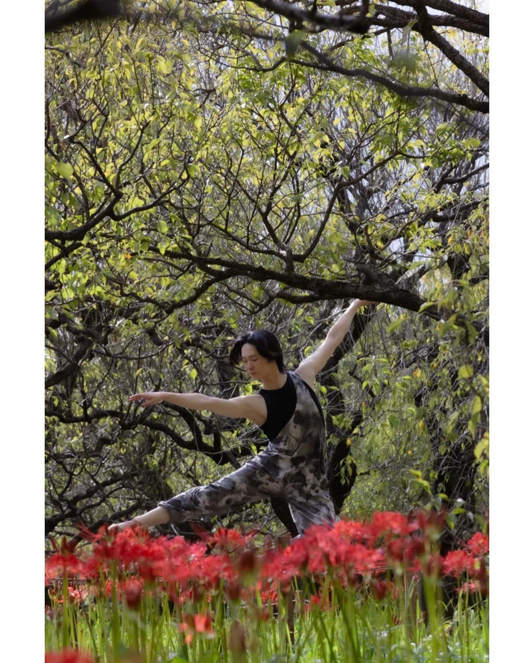 Aura overalls | MYSTIC MOSS