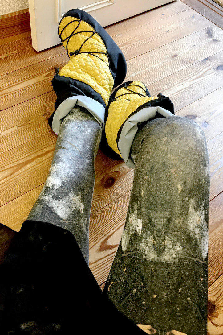 Transformer booties Mustard by Igor Kolb
