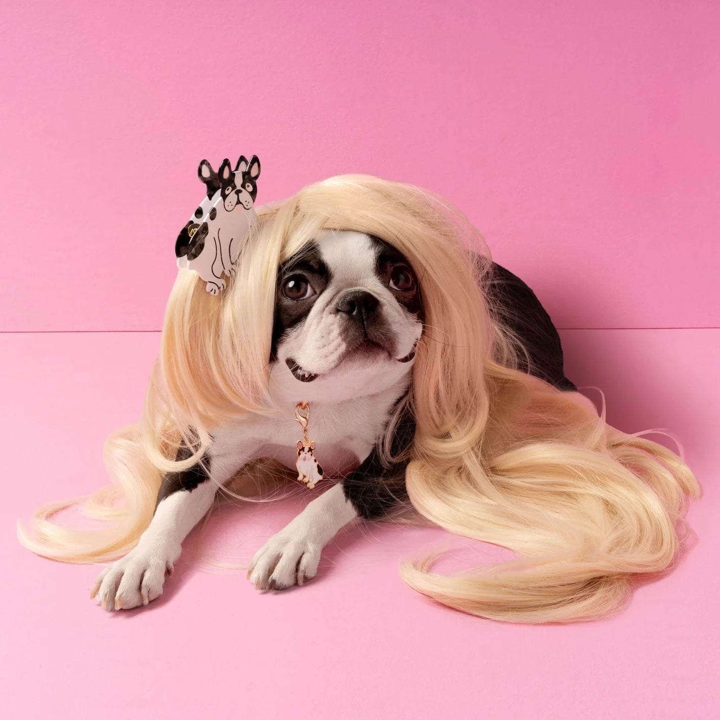 BULLDOG HAIR CLAW