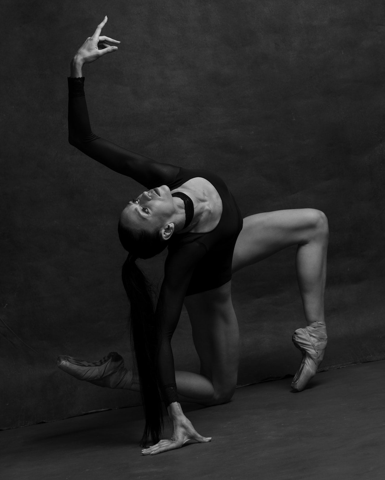 Louis leotard | Dark blue