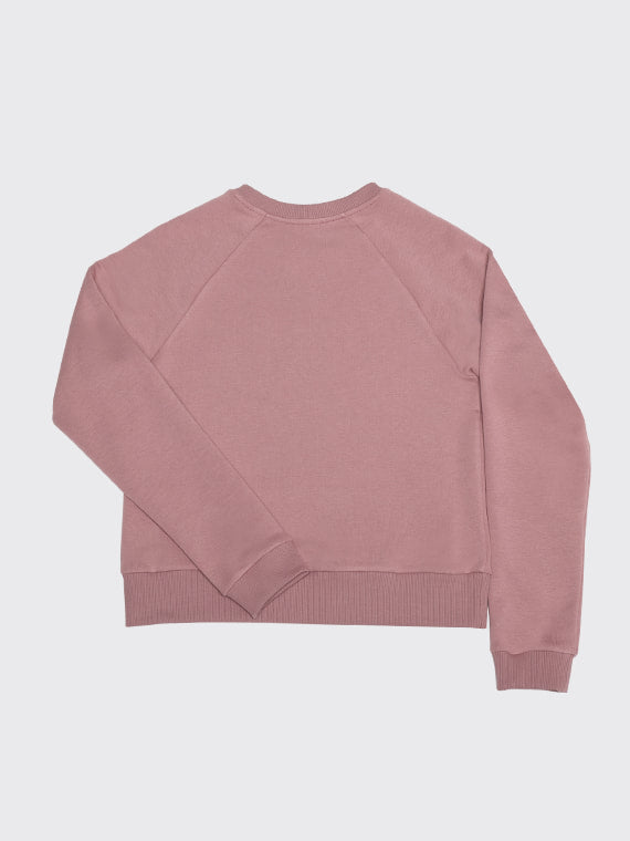 Louis sweatshirt