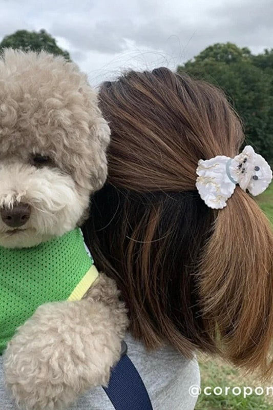 BICHON HAIR CLAW