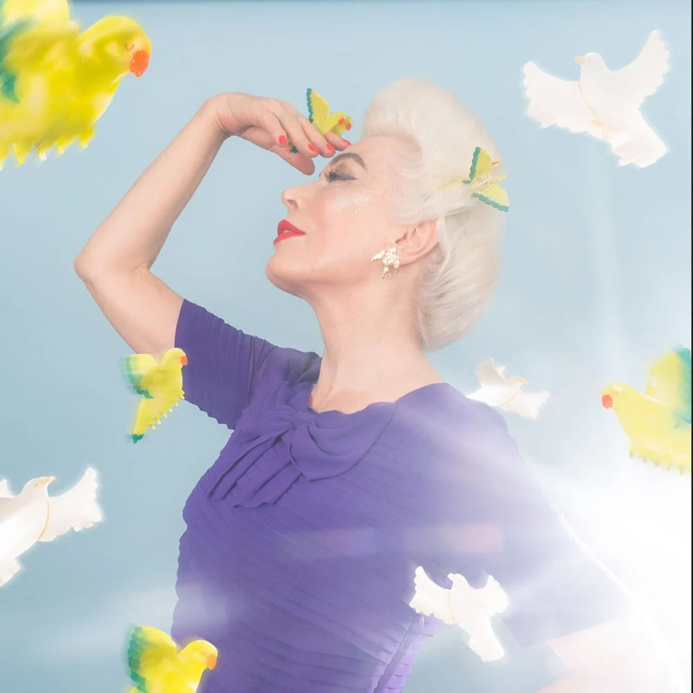 DOVE HAIR CLAW