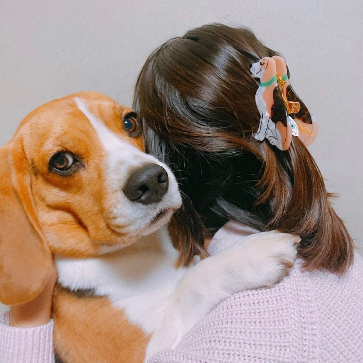 BEAGLE HAIR CLAW