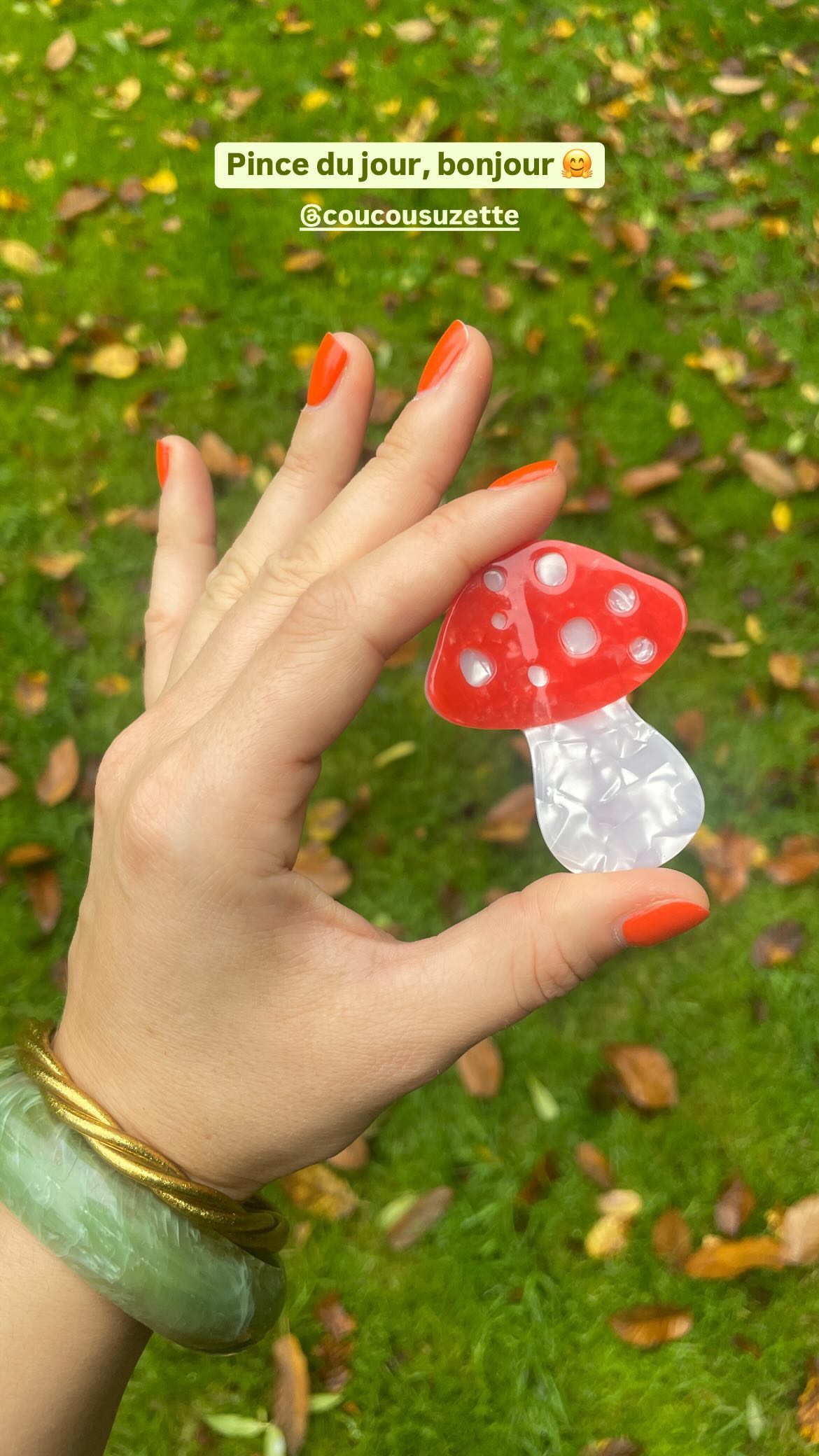 MUSHROOM HAIR CLAW
