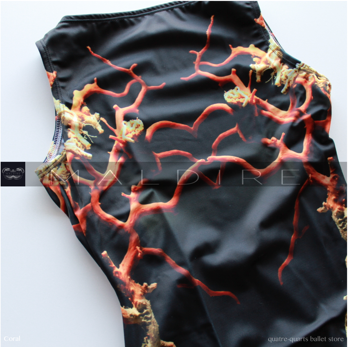 THE CORAL_2.4 | Low back