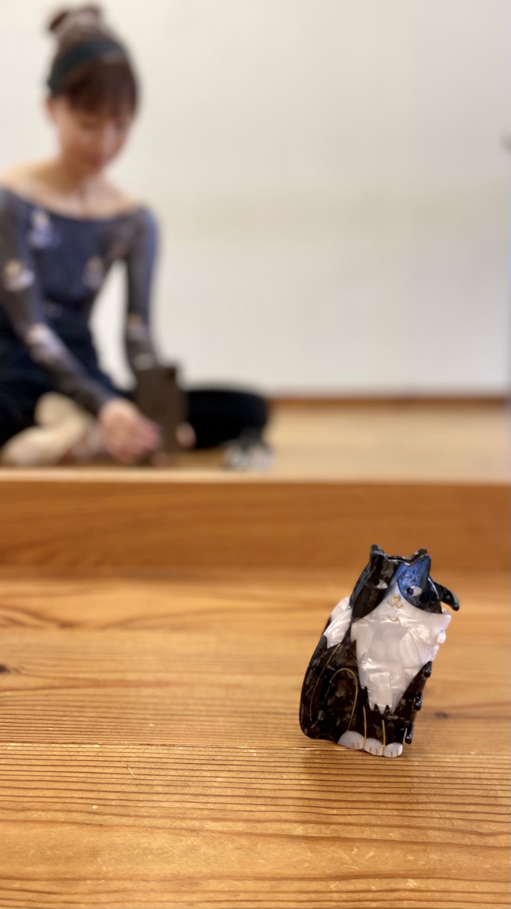 BLACK & WHITE CAT HAIR CLAW