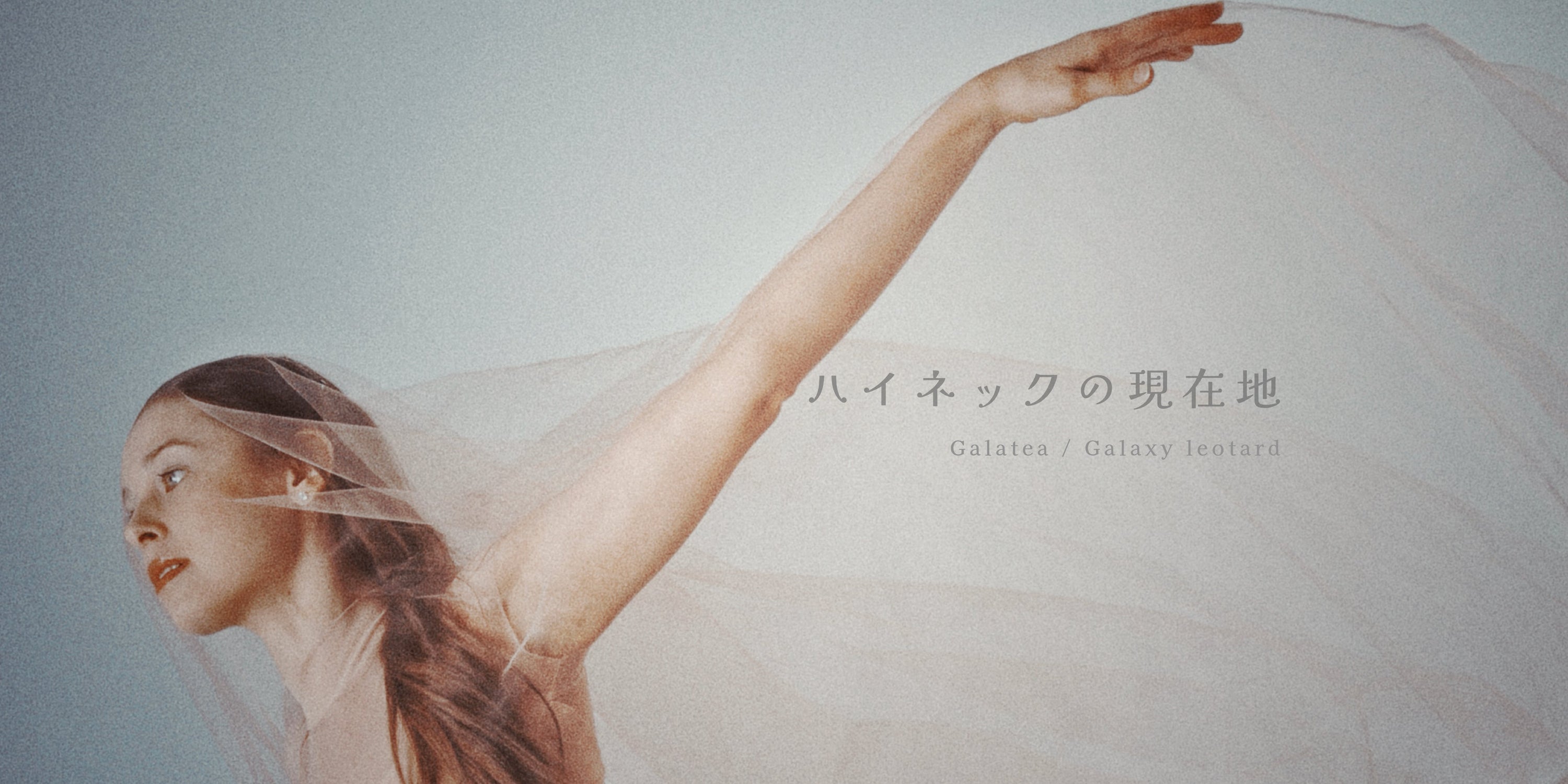 静かに研ぎ澄まされた、ハイネックの現在地：Galatea / Galaxy leotard