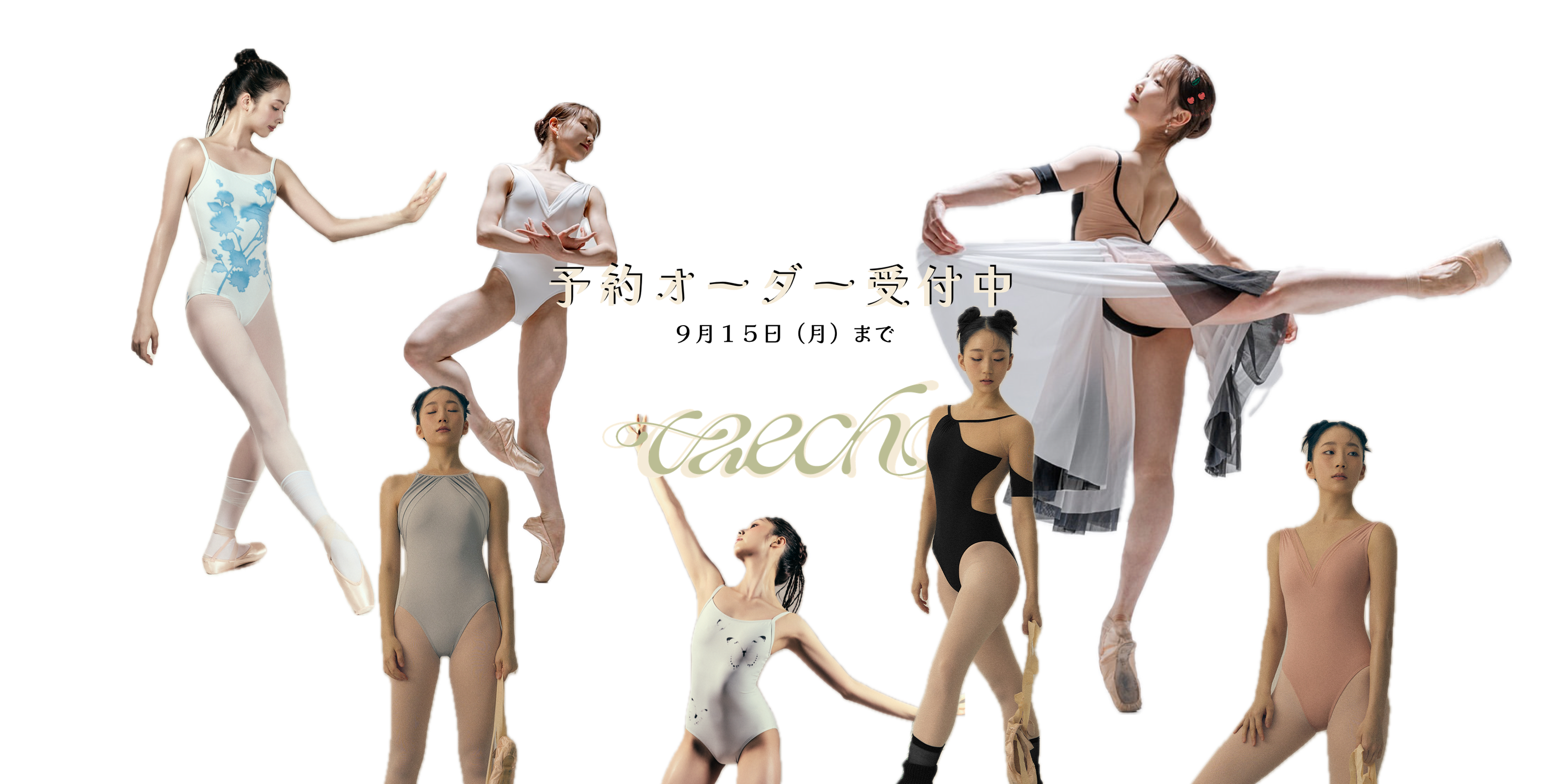 『TAECHO』新作予約オーダー開始のお知らせ