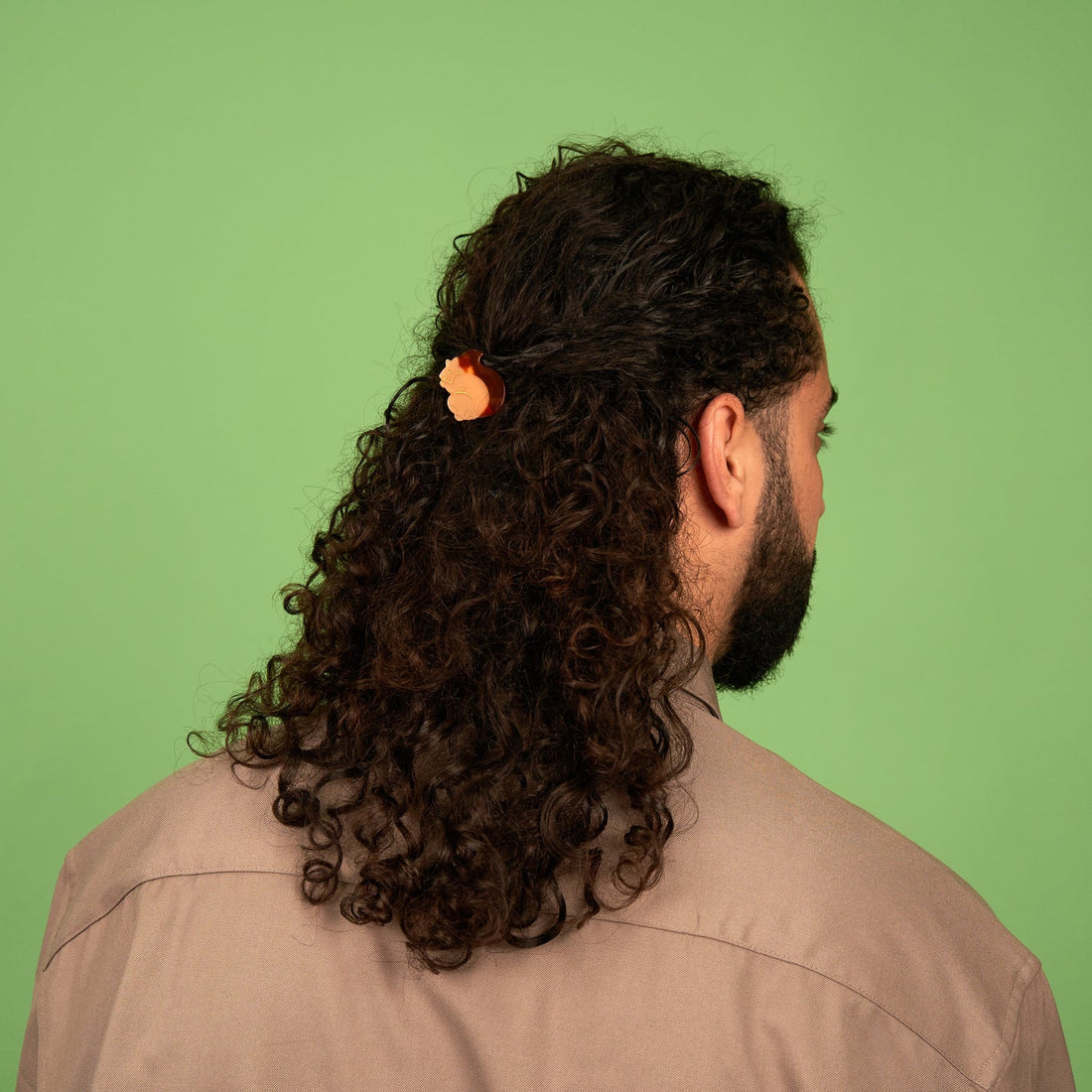 SQUIRREL HAIR CLIP
