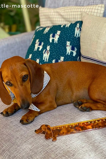 DACHSHUND RULER
