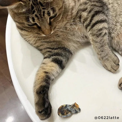TORTOISESHELL CAT HAIR CLIP