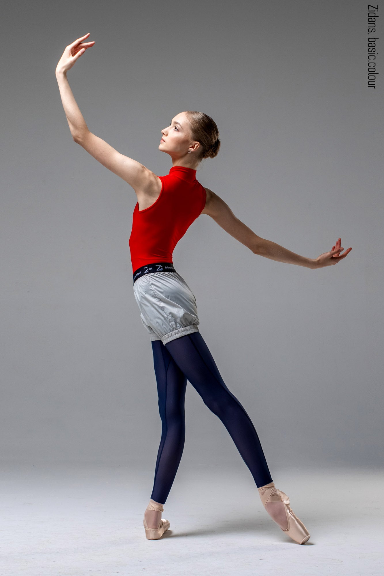 Translucent Ziphirus leggings | dark_sapphire