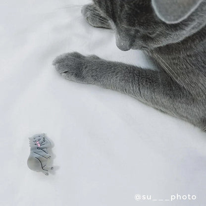 GREY CAT HAIR CLIP