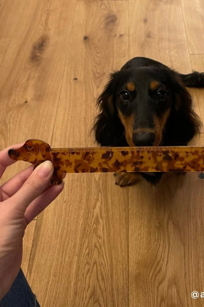 DACHSHUND RULER